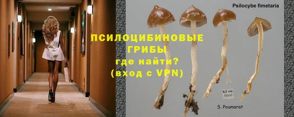 каннабис Алзамай