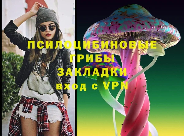 кокс Алексин
